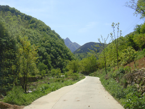 秦岭风光