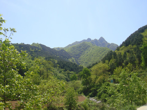 风雨山的春天