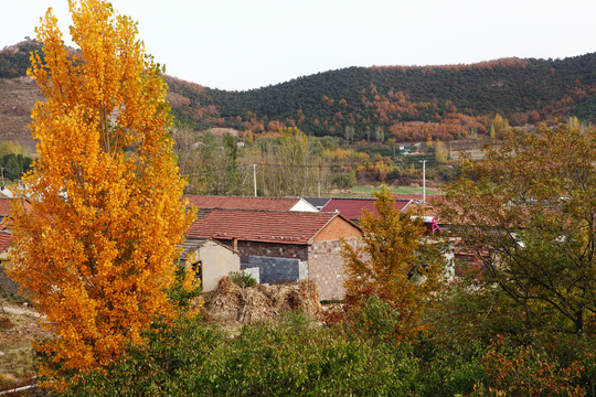 秋日山村