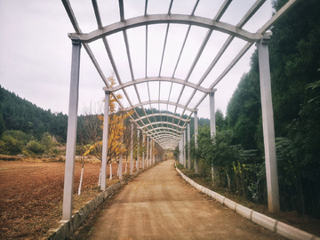 道路花架