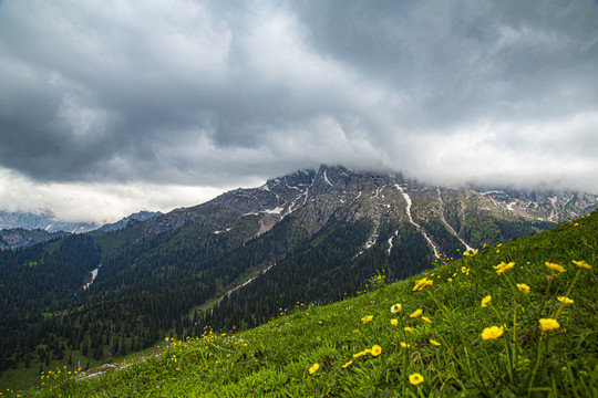 白石峰