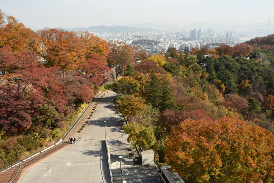 韩国秋天美景南山公园