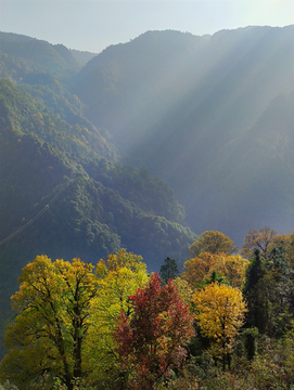 小平乐山区