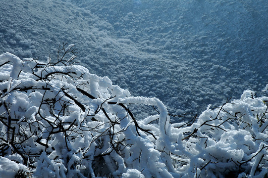 雪景冬天冬季