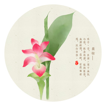 莪術