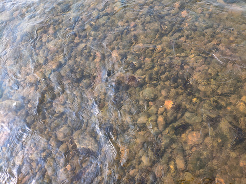 清澈小河里的鹅卵石