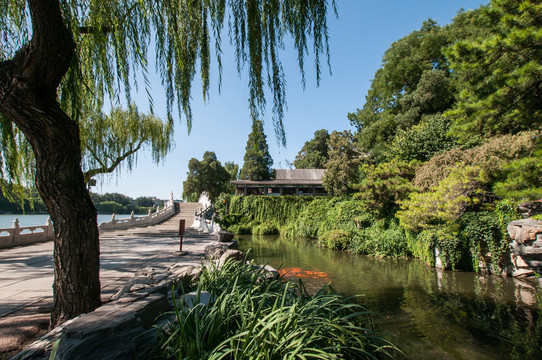 北海公园琼岛西岸风光