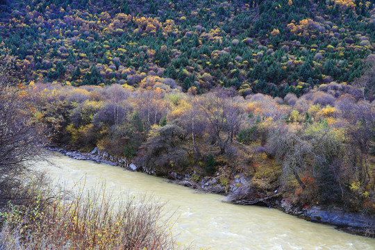 秋天的小河