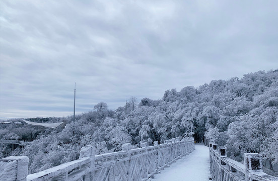 雪景