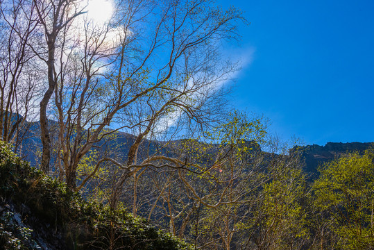 长白山