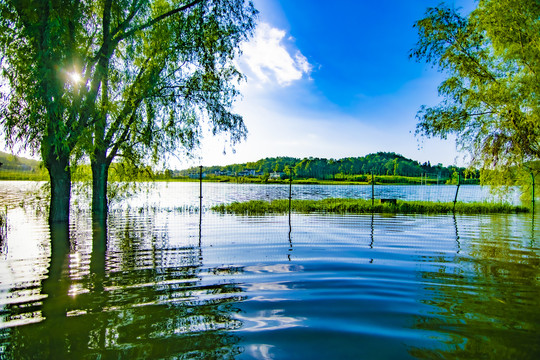 绿水新村