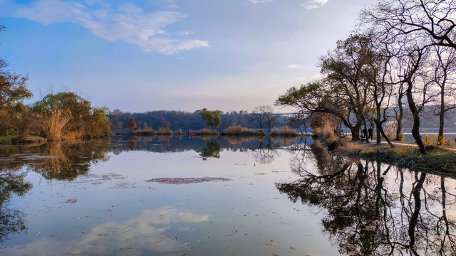 深秋的南京前湖风景