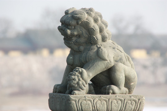 北京卢沟桥石狮