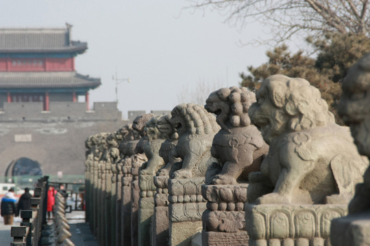 北京卢沟桥石狮
