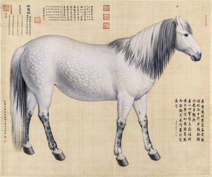 郎世寧十駿圖之如意驄圖