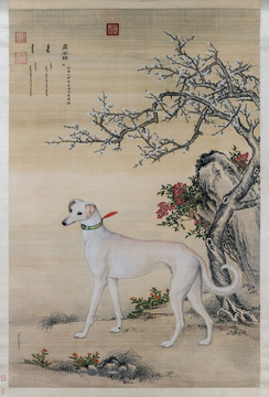 郎世宁细犬图