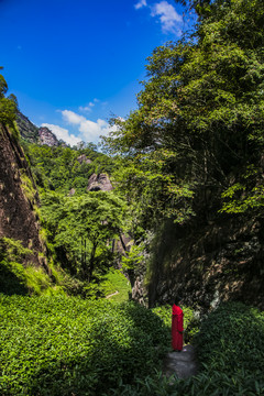 武夷山风光