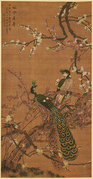 陸治梅花孔雀圖
