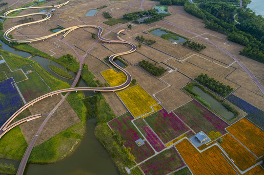 江苏省宿迁市三台山衲田花海