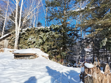 雪景农村树林冰雪森林下雪