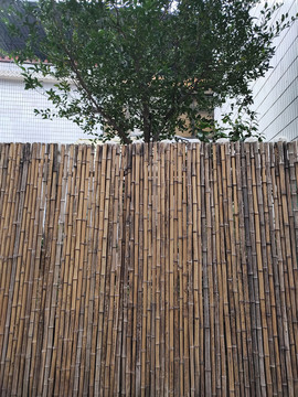 竹子院墙与绿植