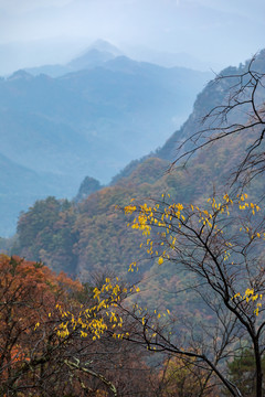 秋季安徽六安马鬃岭风光