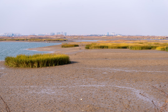 河道