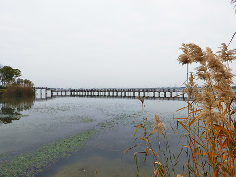 湖中栈桥