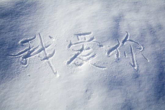 雪地求婚