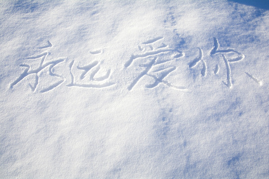 雪地求婚