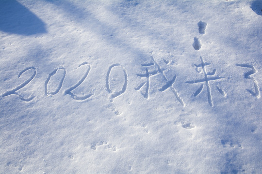 雪地新年祝愿