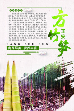 方竹筍海報(bào)
