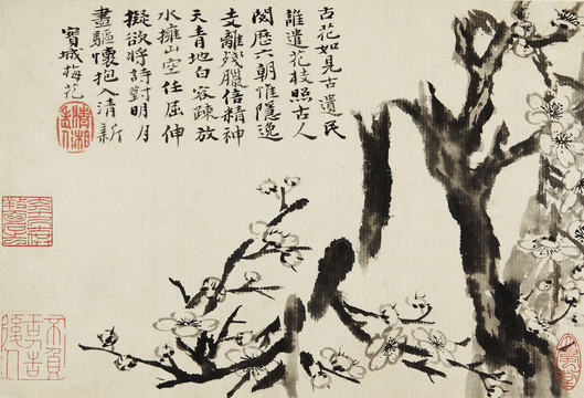 石濤梅花圖冊(cè)