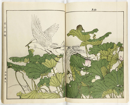 今尾景年荷花白鷺