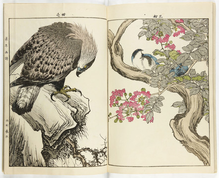 今尾景年景年花鳥畫譜