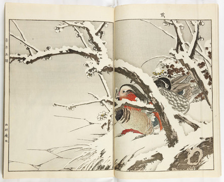 今尾景年花鳥畫譜雪梅下的鳥