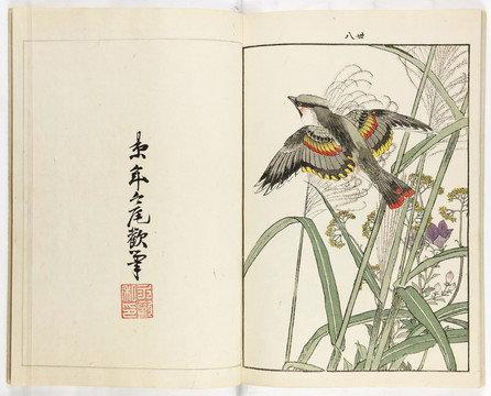 今尾景年花鳥畫譜四卷秋季飛鳥花卉