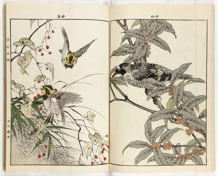 今尾景年金桂飛鳥與白英上的小鳥
