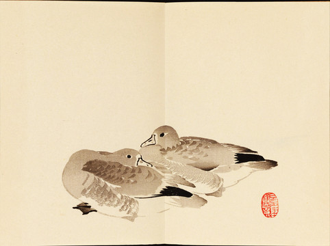 今尾景年景年習(xí)畫(huà)帖鴨子
