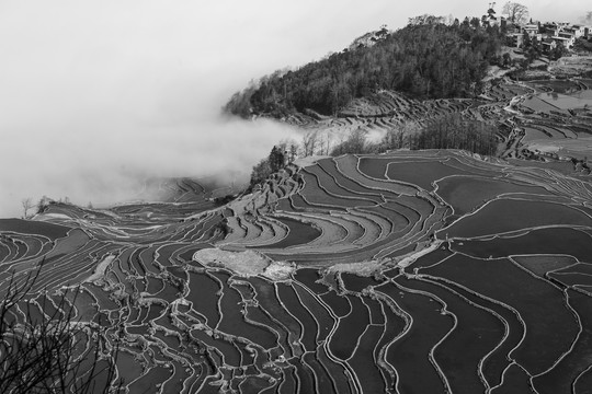 哈尼梯田大地上的版画艺术7