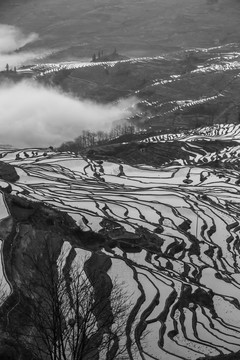 哈尼梯田大地上的版画艺术10