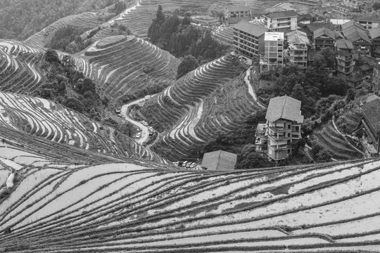 龙胜梯田大地版画2