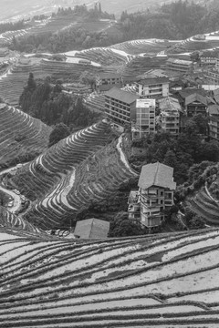 龙胜梯田大地版画3