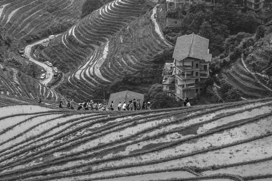 龙胜梯田大地版画5