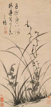 文彭墨蘭圖