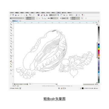 鮑魚cdr矢量圖