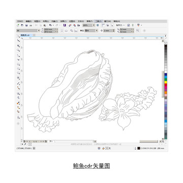 鲍鱼cdr矢量图
