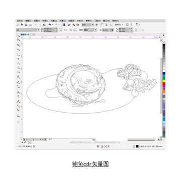 鮑魚cdr矢量圖