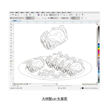 大闸蟹cdr矢量图