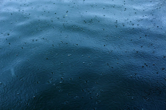 湖面雨滴